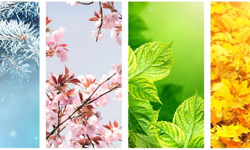 Beweeg mee met de seizoenen met Amazoniet