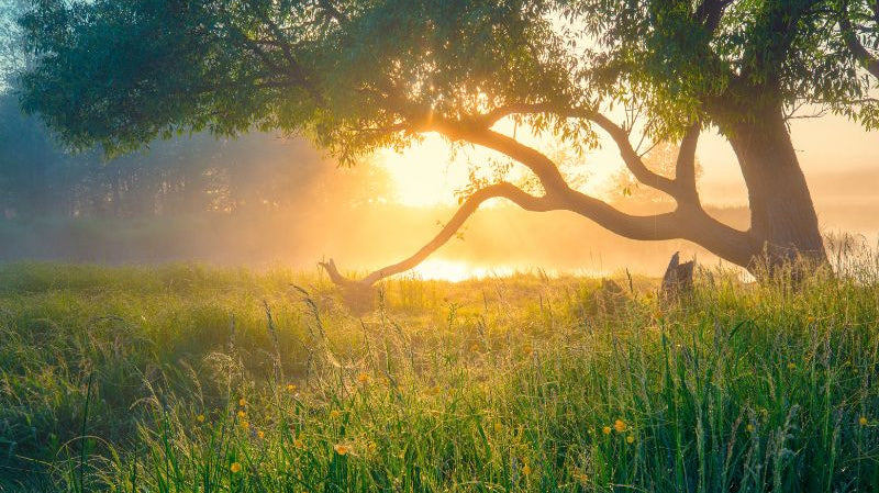 Lente Equinox