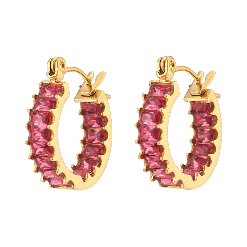 Luxury Sparkle Earrings