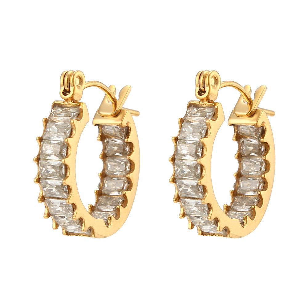 Luxury Sparkle Earrings