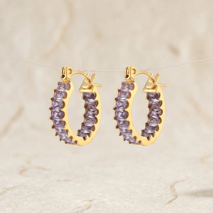 Luxury Sparkle Earrings